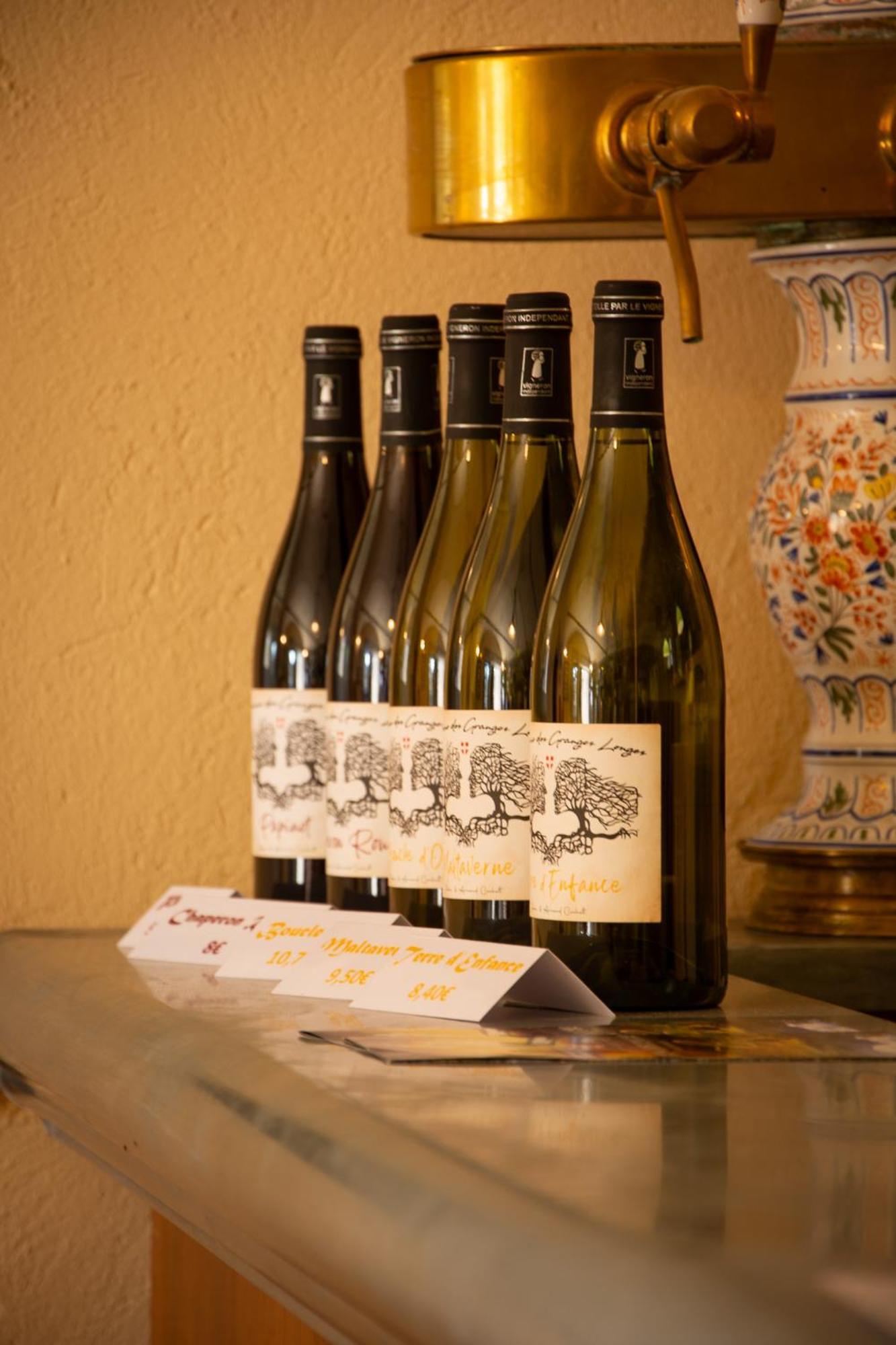 Domaine Des Granges Longes Διαμέρισμα Les Marches Εξωτερικό φωτογραφία